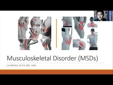 Musculoskeletal Disorders (MSDs) - Learning With Mr. Owl