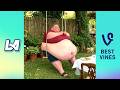 Try Not To Laugh 🤣 Top 100 Funniest Videos Ever