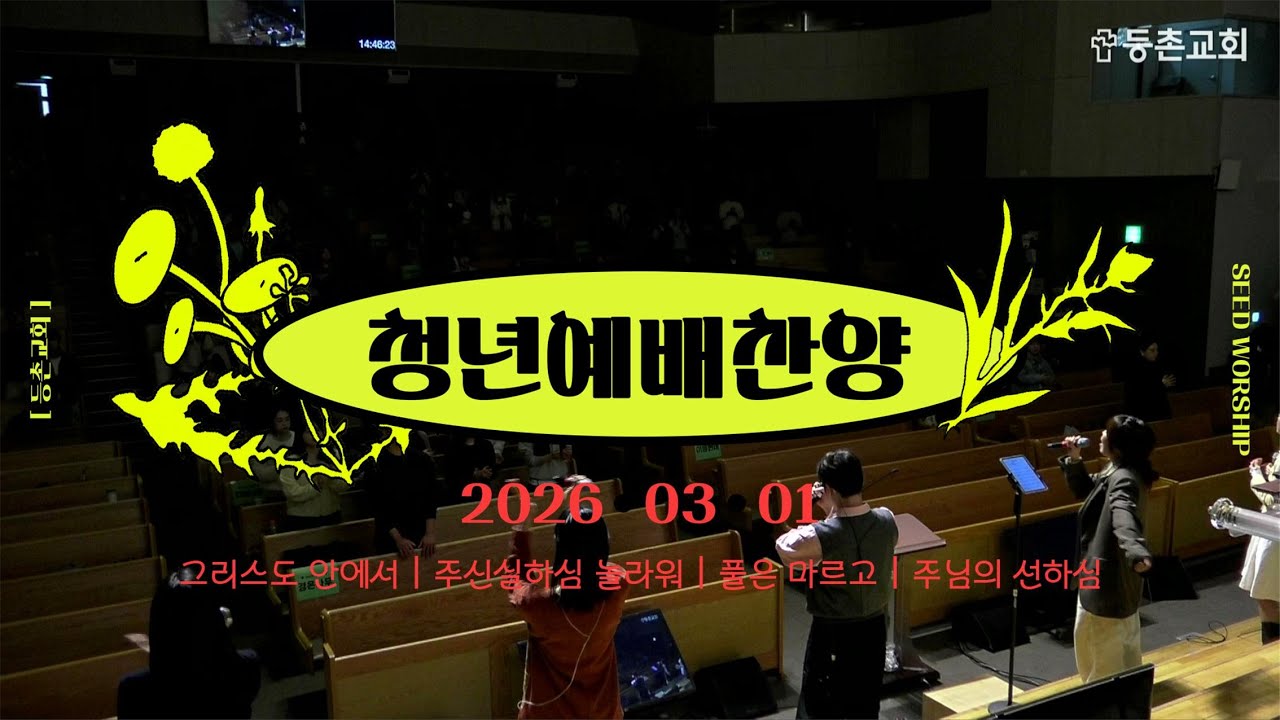 [주일4부찬양] 2026-03-01 l 씨드찬양단 l 등촌교회 l 그리스도안에서 l 주신실하심놀라워 l 풀은마르고 l 주님의선하심