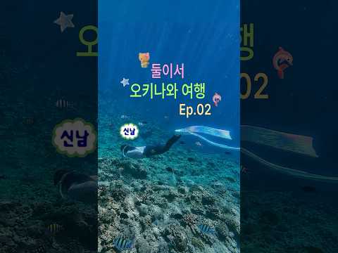 둘이서 오키나와 일주일🌴ep.02(푸른동굴,코우리해변,오키나와소바)
