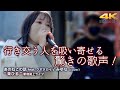 【 驚異の歌声!】行き交う人を吸い寄せる驚きの歌声! あのねこの話 feat. クボタカイ / みゆな(cover) " 茉ひる(まひる)"  2022.4.2 新宿路上ライブ 4K映像