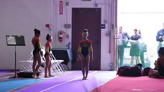Mikayla Stover 1St Vault Winners Invite 2017 Wildfire Gymnast Level 5