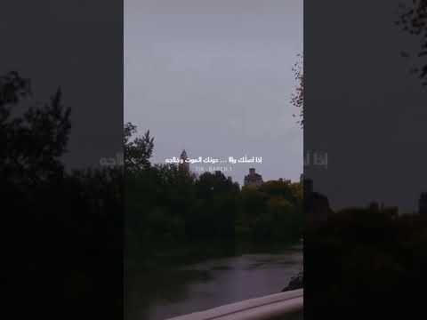 تلمست لك عذر راشد الماجد تصميم حالات