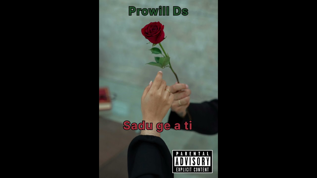 ProWill Ds Sadu Ge A Ti