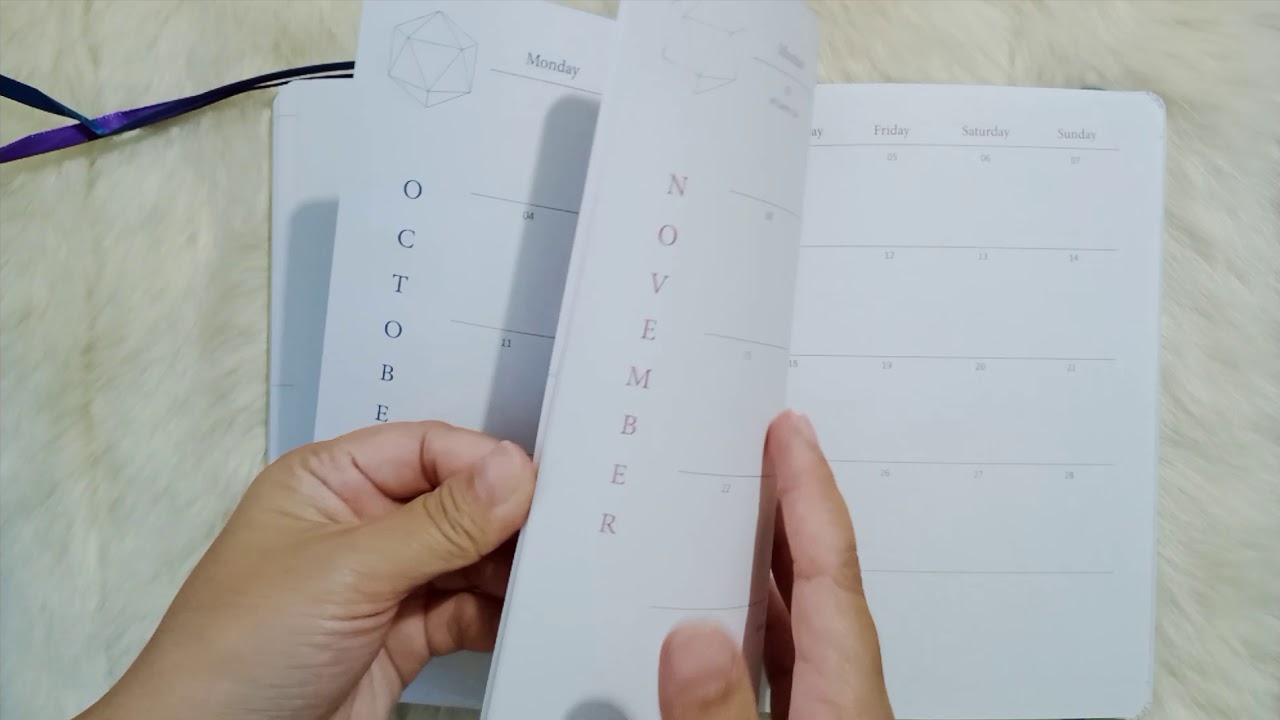 2021 FOCUS Planner Journal Flip Through