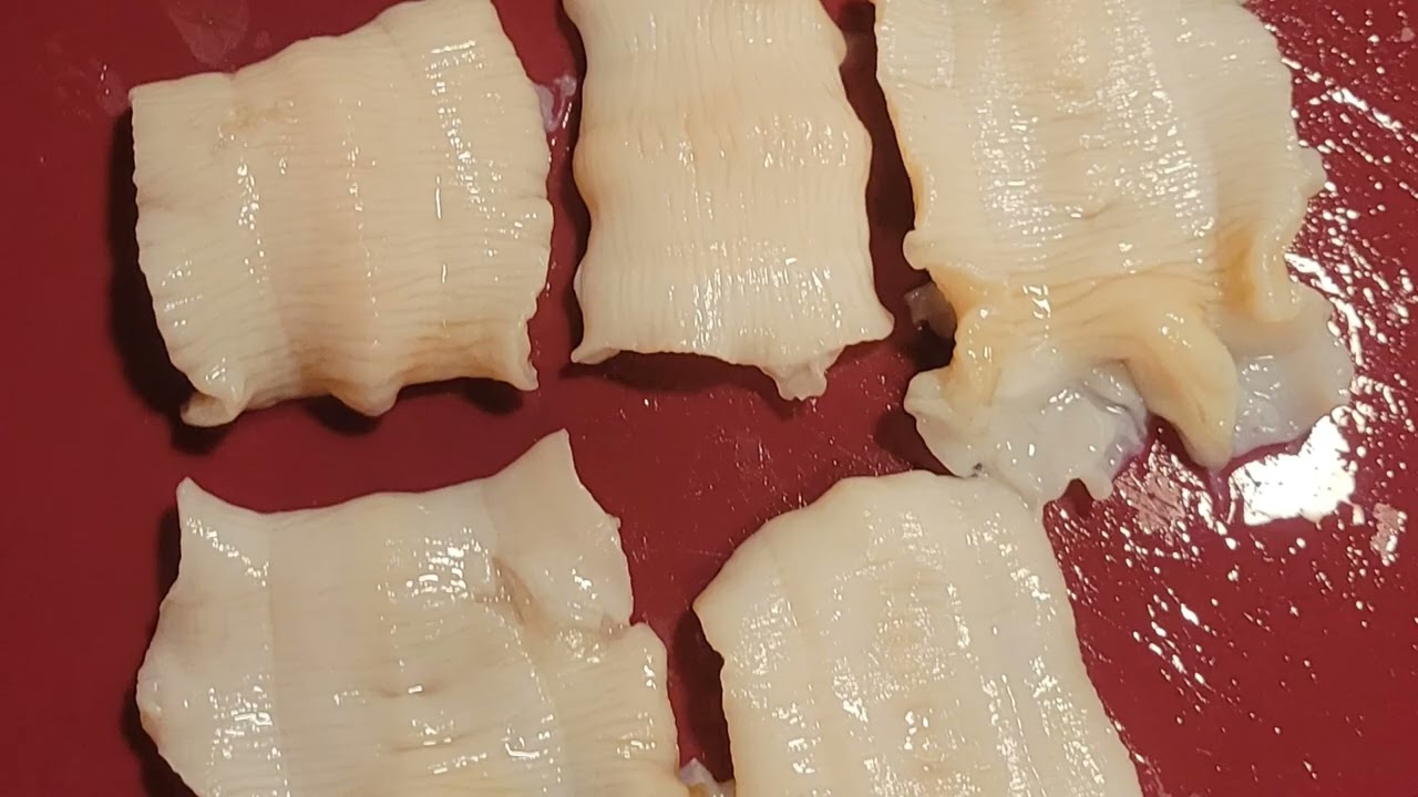 Bodega Bay Clam Digging Catch And Cook 5/27/23