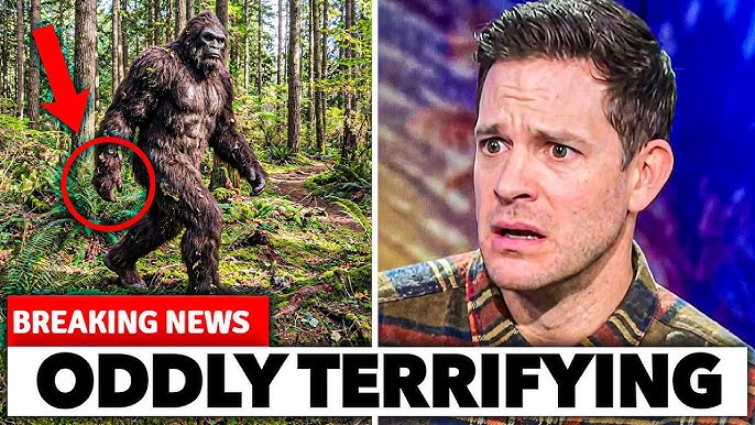 1 MINUTE AGO: Bryce Johnson Captures Crystal Clear BIGFOOT Footage Leaving Wildlife Experts SHOCKED - YouTube