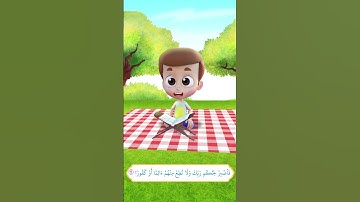 سورة الإنسان آية 24 وآية 26