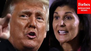 How Has Trump Responded To Nikki Haley Presidential Run? | Forbes Breaks Down The New 2024 GOP Race