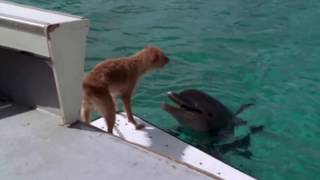 Vangelis Papathanasiou  Song Of The Seas