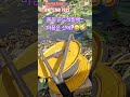 꽃송이가 보고픈데 곤드레밭에 메어 있는 아지매#정선아지매#정선5일장#노지곤드레