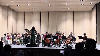Klein Cain High School Chamber Orchestra performs Circles, composed by Break of Reality