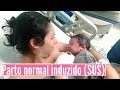 EVOLUÇÃO PARTO NORMAL INDUZIDO NO SUS - MATERNIDADE MARISKA RIBEIRO | Paula Souza