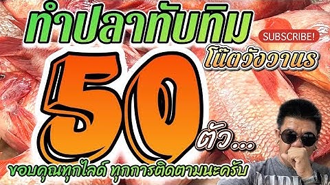 ทำปลาทับทิม 50 ตัว วันพฤหัสที่ 13/11/68 #โน๊ตวังวานร #ทำปลา #ปลาทับทิม #rubyfish #subscribe #1166