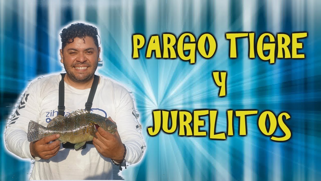 PESCA DE PARGO / PLAYA TRONCONES pennywise