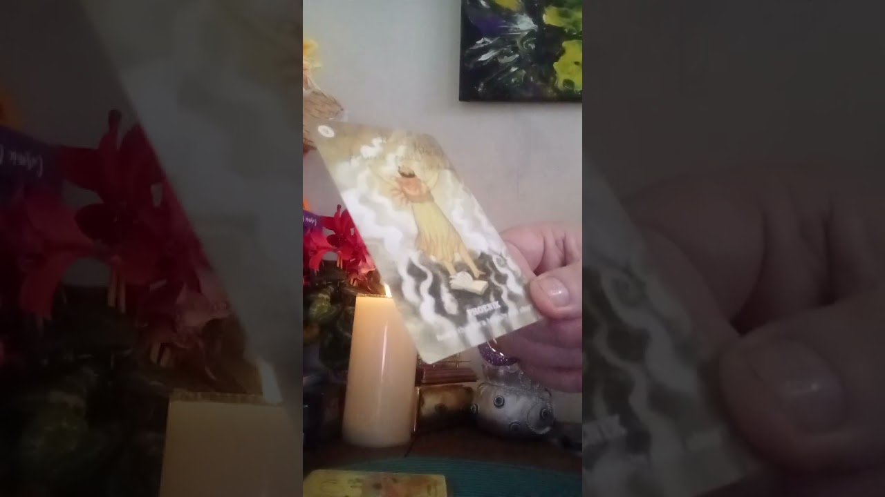 ATENTIE LA PERSOANELE APROPIATE. ACOLO GASITI SECRETE MARI.🫣🤫🤔