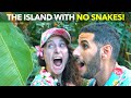 The Island with No Snakes!