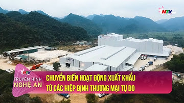 Chuyển biến hoạt động xuất khẩu từ các hiệp định thương mại tự do | Tạp chí kinh tế cuối tuần