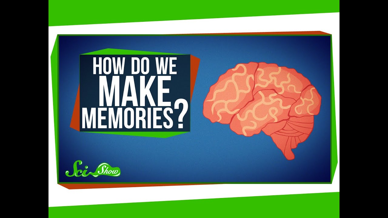 How Do You Make Memories?