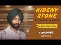 Kidney Stone Baali Nandgarh Yaaran Da Tolla Full Video Latest Punjabi Song 2019 mp3