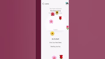 Learning Libby - shelf returning loans
