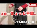 病み上がりで正直ちょっと不調。でも、このシューズに救われた。