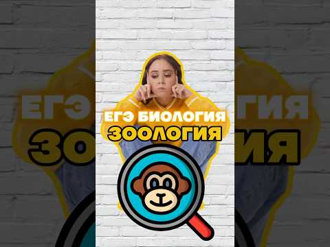 зоология #биология #умскул