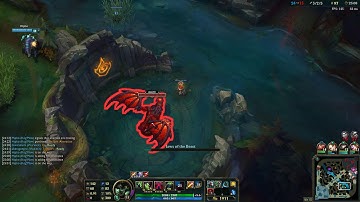 Warwick Invisible