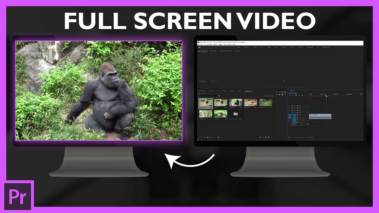 premiere-pro-full-screen-displaydase