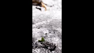 How Spring Weather Can Affect Your Health