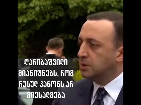 ღარიბაშვილი მიანიშნებს, რომ რუსულ კანონს არ მიესალმება