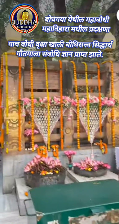 #buddha #education l #knowledge #motivation l #trading #virel #travel