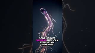 This Animal Can Regrow Its Head 😱 | Insane Flatworm Fact