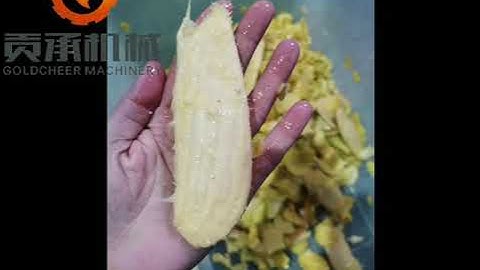 Turnkey solution for the mango puree production plant