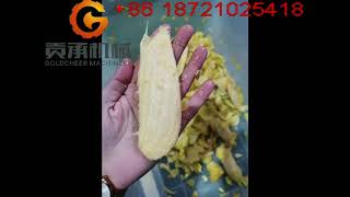Turnkey solution for the mango puree production plant