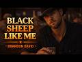 Black Sheep Like Me Official Lyric Video mp3
