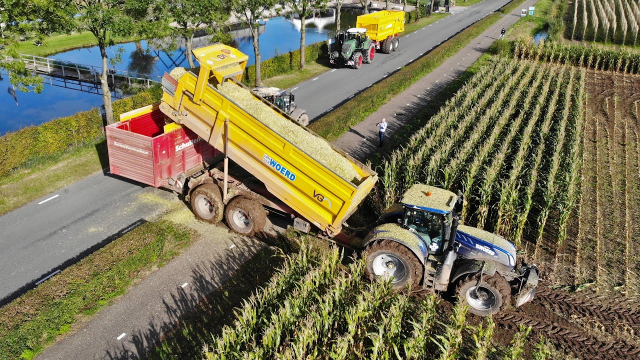 Mais Silage In The Mud | New Holland FR650 + Fendt | Van der Woerd + Bongers | 2021