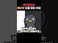 해부학은 공부해두면 아무튼 쓸모가 있다! #그림 #그림강좌 #라움아카데미 #raumacademy