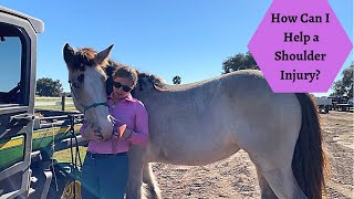 Gypsy Vanner Horse Massage Shoulder Injury Hottie Part 1