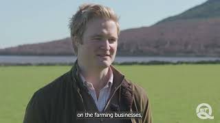 NSA Highland Sheep 2025