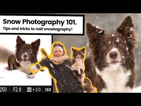 Video: Hoe fotografeer je sneeuw met een DSLR?