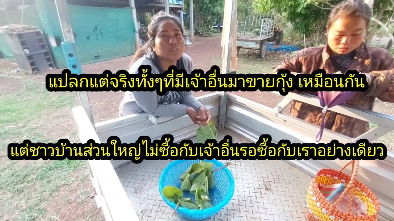 มีเจ้าอื่นเอากุ้งมาขายเหมือนกัน แต่ชาวบ้านไม่ซื้อ รอซื้อกับเราอย่างเดียว#จิตอาสา 