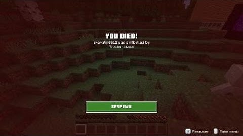 Getting Spitballed By A Trader Llama