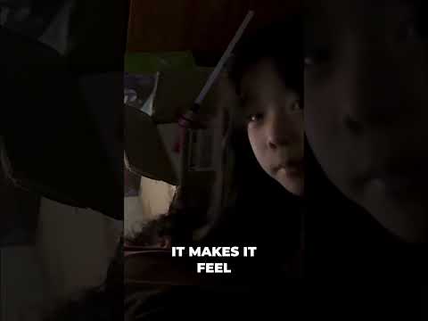 You'll NEVER Guess Where Our Chinchilla was Hiding...