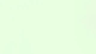 Viva video cintakita