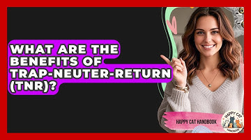 What Are The Benefits Of Trap-Neuter-Return (TNR)? - Happy Cat Handbook