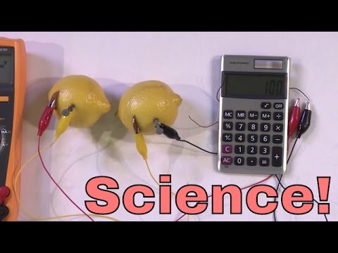 DIY | Build a Lemon Battery!  Power a Calculator with Lemons! Amazing Chemistry Experiment.
