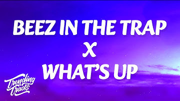 Nicki Minaj, 4 Non Blondes - Beez In The Trap X What’s Up? (TikTok Mashup) [Lyrics]