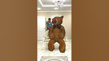 SCP 1048 bear in real life