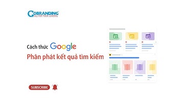 Cách thức Google phân phát kết quả tìm kiếm | GOBRANDING Official